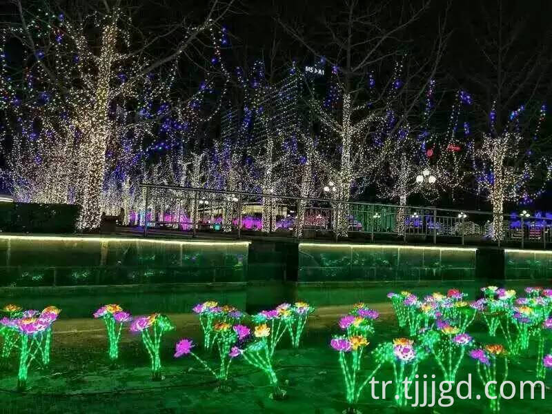 Colorful LED String Lights